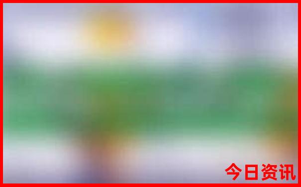 天牛红五图库大全